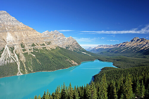 Environmental declarations